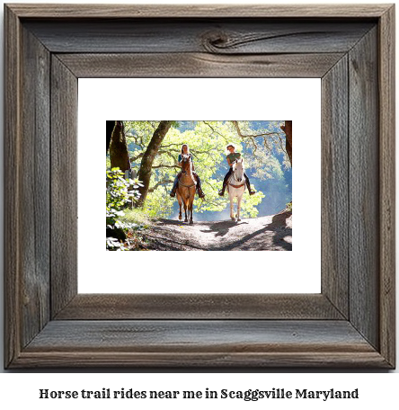 horse trail rides near me in Scaggsville, Maryland